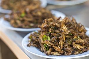 Sustainable food: how do we get insects on the menu?
