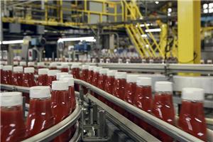 Cars made of tomatoes: Heinz and Ford ink bio-plastics partnership