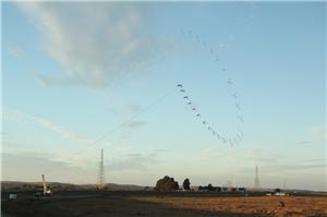 Google banks on airborne wind turbine device to help address future world energy needs