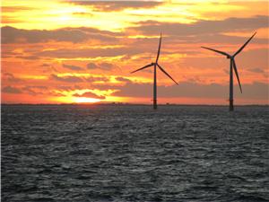 Government's green policies putting "green economy" at risk, warns CBI chief
