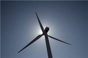 First peer-to-peer renewable electricity marketplace secures £500,000 